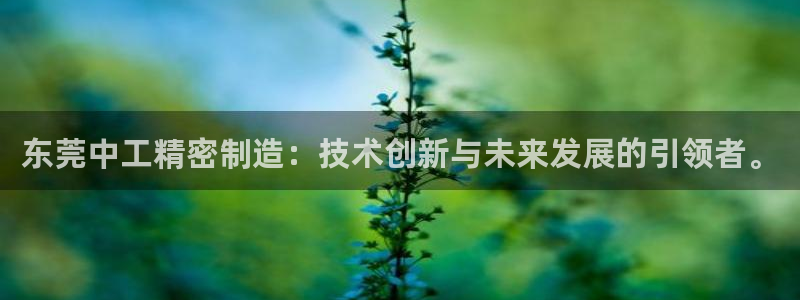 彩神V官网：东莞中工精密制造：技术创新与未来发展的引领者。