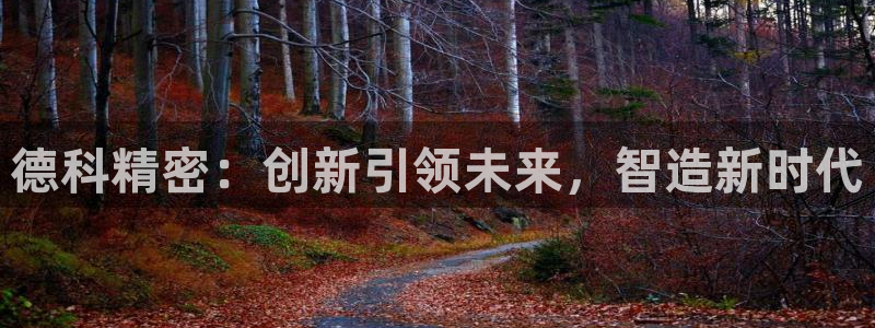 彩神vip购彩大厅：德科精密：创新引领未来，智造新时代