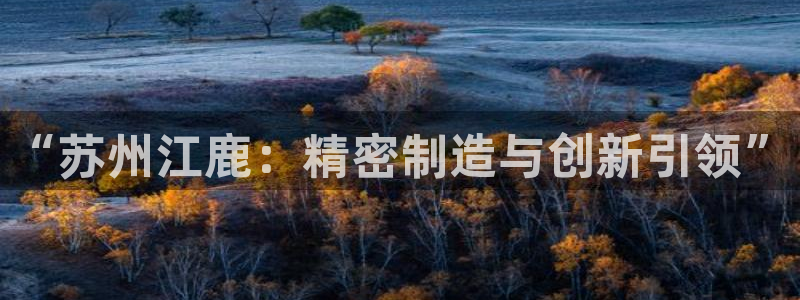 彩神8官网版：“苏州
