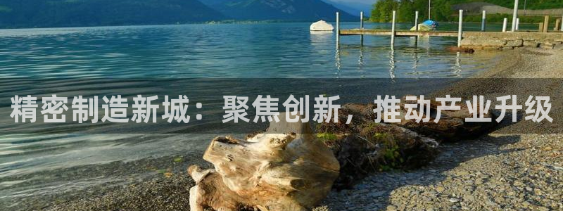 彩神数码科技有限公司：精密制造新城：聚焦创新，推动产业升级
