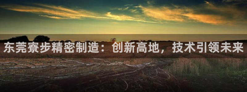 彩神vll购彩大厅大众：东莞寮步精密制造：创新高地，技术引领未来