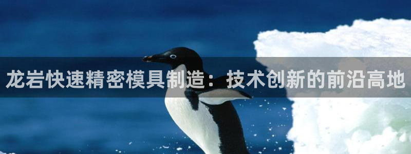 所有彩神购买首页中心：龙岩快速精密模具制造：技术创新的前沿高地