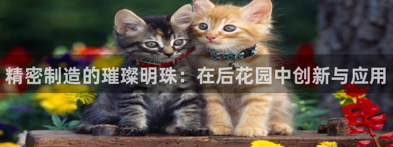 彩神这个平台是真的吗