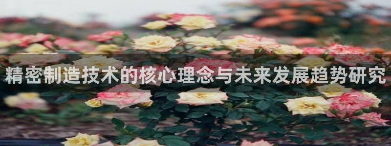 有谁知道彩神争霸的网址：精密制造技术的核心理念与未来发展趋势研究