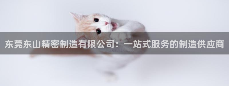 彩神怎么样可以提现：东莞东山精密制造有限公司：一站式服务的制造供应商