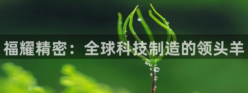 彩神系列平台：福耀精密：全球科技制造的领头羊