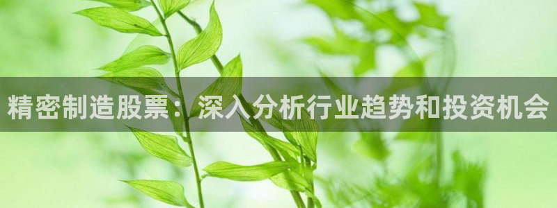 彩神vl官网：精密制造股票：深入分析行业趋势和投资机会