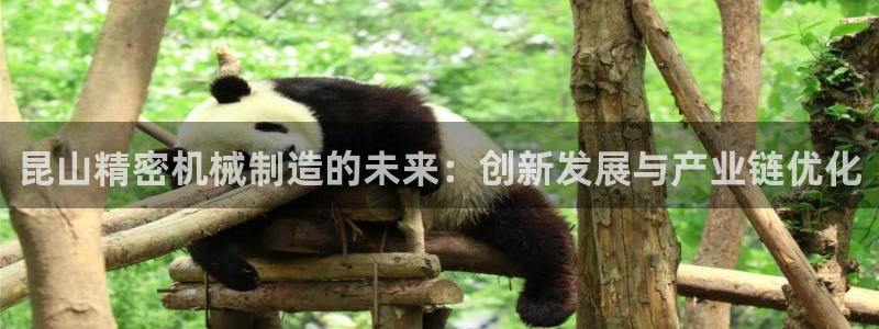 彩神iv争霸购彩大厅