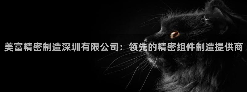 彩神骗局：美富精密制造深圳有限公司：领先的精密组件制造提供商