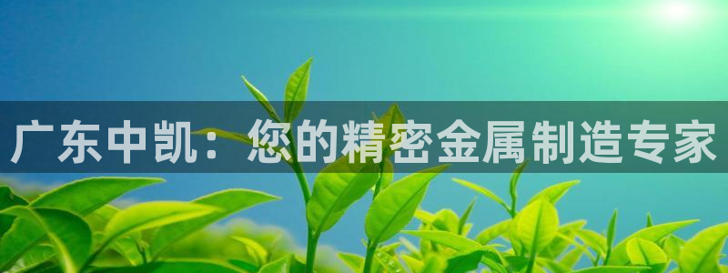 大发彩神官网下载