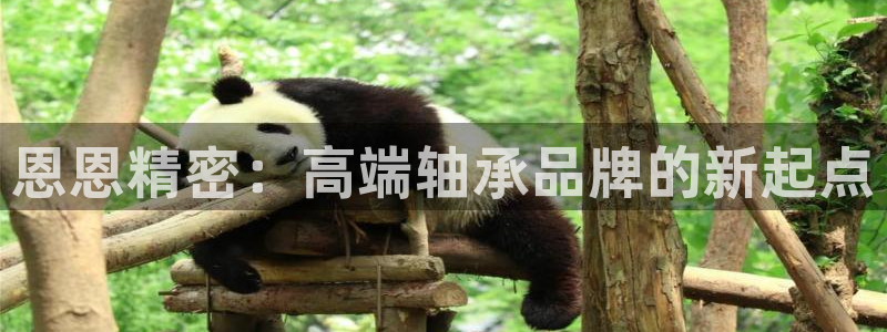 彩神平台之间是什么关系：恩恩精密：高端轴承品牌的新起点