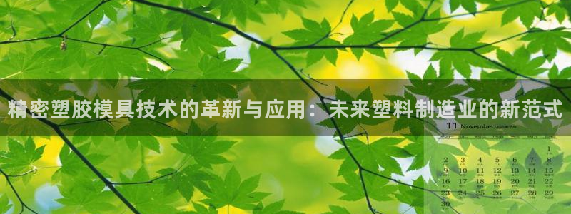 彩神iv是正规平台吗?：精密塑胶模具技术的革新与应用：未来塑料制造业的新范式