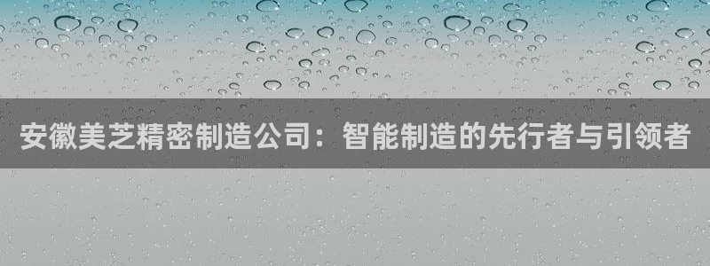 彩神ii官方网：安徽美芝精密制造公司：智能制造的先行者与引领者
