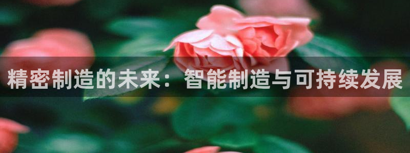 彩神v8是真的挣钱吗安全吗：精密制造的未来：智能制造与可持续发展