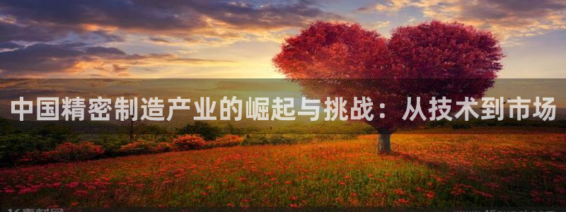 彩神大发黑平台：中国精密制造产业的崛起与挑战：从技术到市场