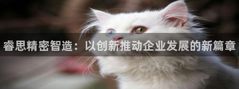 彩神合法吗.是国家认可的吗：睿思精密智造：以创新推动企业发展的新篇章