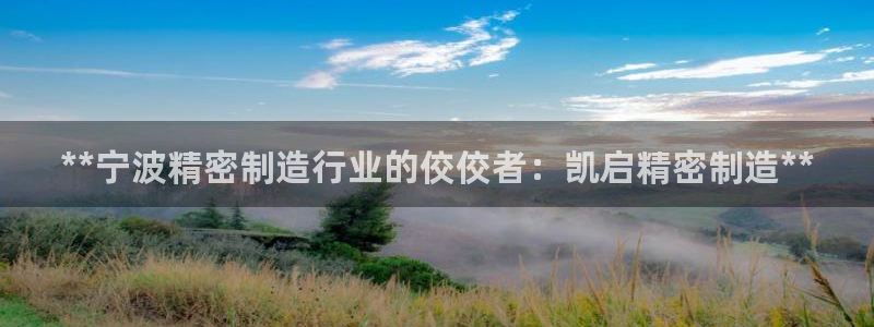 彩神v8是一个什么平台啊：**宁波精密制造行业的佼佼者：凯启精密制造**