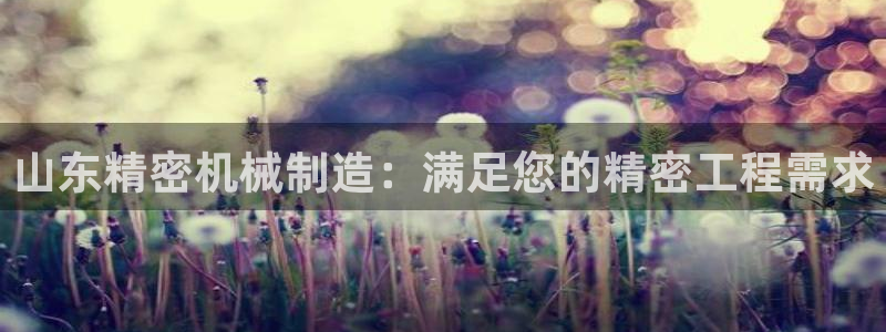 彩神vii官网大赢家：山东精密机械制造：满足您的精密工程需求