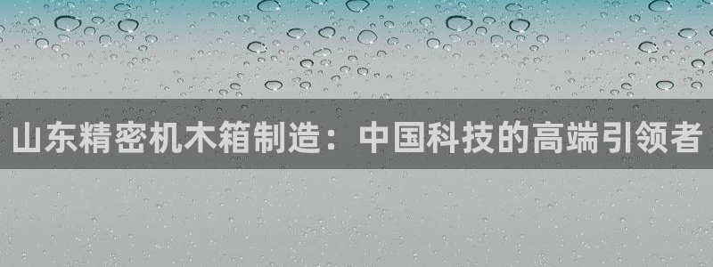 彩神v8首页：山东精密机木箱制造：中国科技的高端引领者