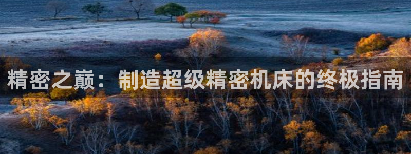 彩神ⅴll是什么样平台：精密之巅：制造超级精密机床的终极指南