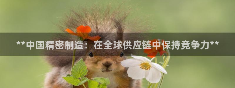 彩神用户登录：**中国精密制造：在全球供应链中保持竞争力**