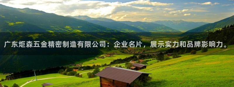 彩神ix能赚钱吗：广东炬森五金精密制造有限公司：企业名片，展示实力和品牌影响力。