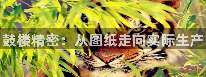 彩神平台注册登录：鼓楼精密：从图纸走向实际生产