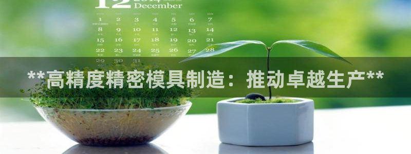 彩神v1破解器：**高精度精密模具制造：推动卓越生产**