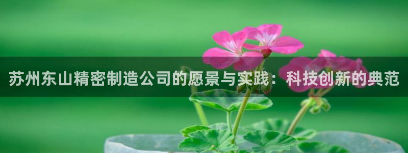 新版彩神v8登录不上去：苏州东山精密制造公司的愿景与实践：科技创新的典范