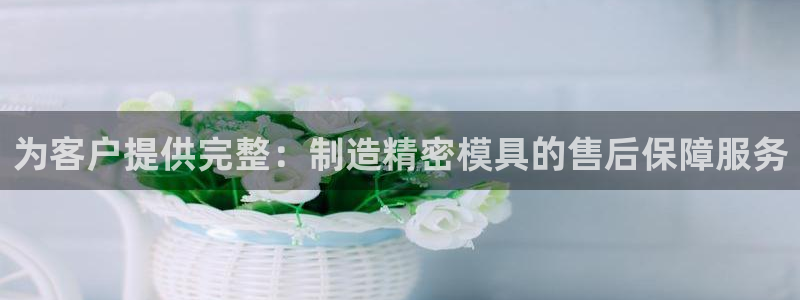 彩神大发三期计划网站：为客户提供完整：制造精密模具的售后保障服务