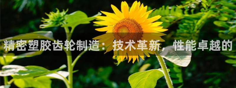 彩神v8app：精密塑胶齿轮制造：技术革新，性能卓越的