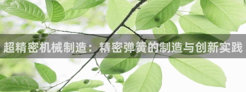彩神v8下载：超精密机械制造：精密弹簧的制造与创新实践