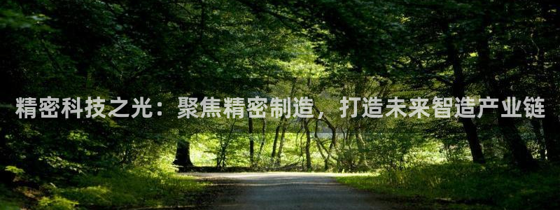 彩神 好 平台：精密